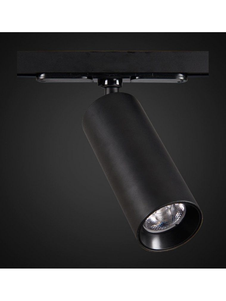 Трековый светильник Тубус CL01T121