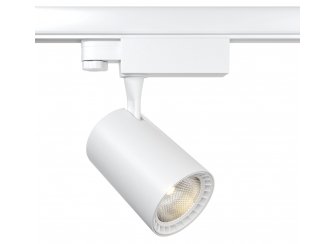 Трековый светильник TR029-3-10W3K-W