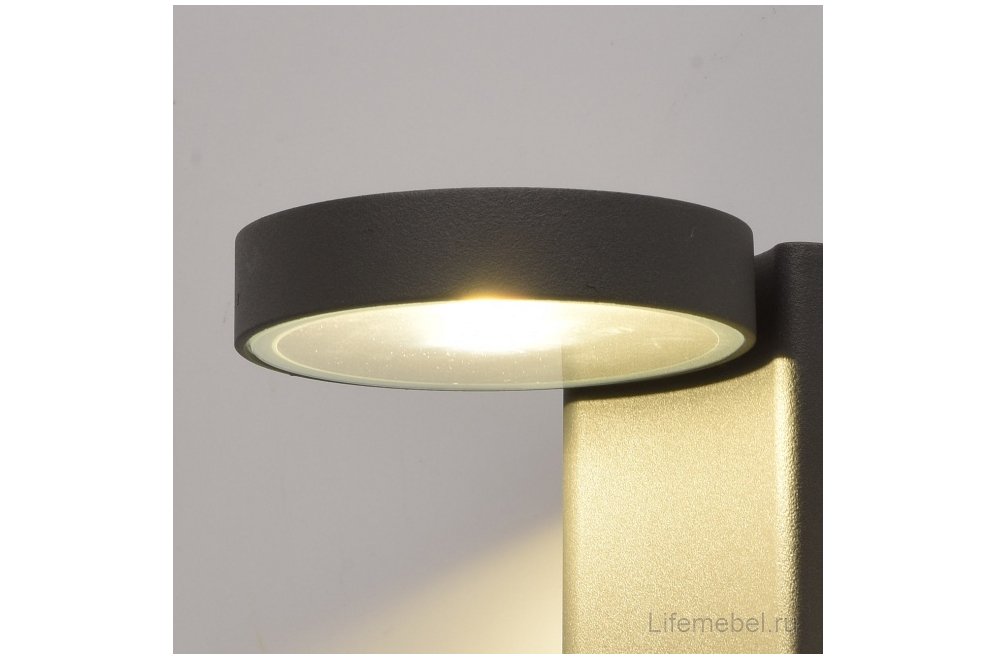 Уличный настенный светильник Меркурий 807022001