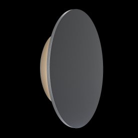 Уличный настенный светильник O420WL-L12GF