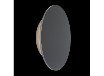 Уличный настенный светильник O420WL-L12GF