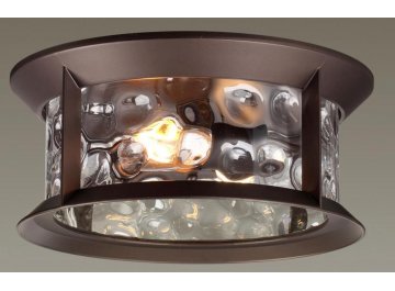 Уличный потолочный светильник 4961/2C