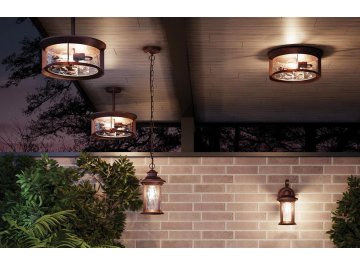 Уличный потолочный светильник 4961/2C