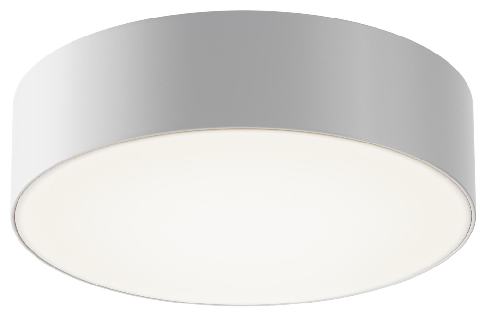 Уличный потолочный светильник Zon IP O431CL-L30W4K