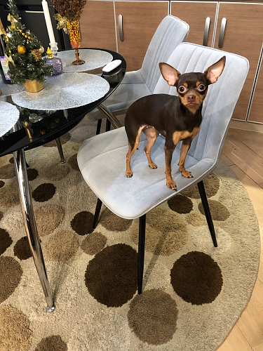 Комплект стульев Седа К 2 шт латте / черный фото покупателя 202