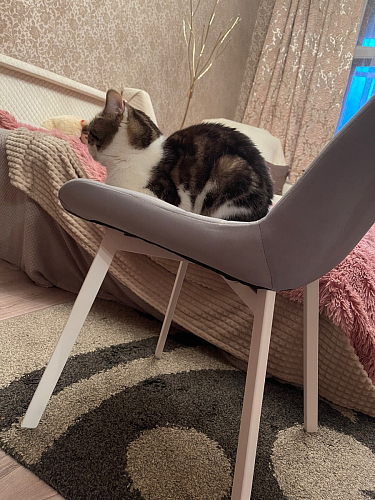 Стул на металлокаркасе Челси бежевый / черный фото покупателя 132