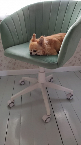 Компьютерное кресло Тибо сиреневый фото покупателя 55