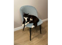 Стул на металлокаркасе Gabi gray / black фото покупателя 325