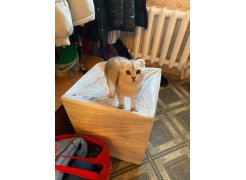 Стул на металлокаркасе Gabi gray / black фото покупателя 757