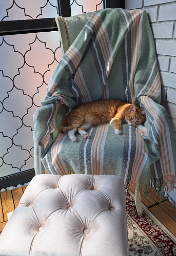 Кресло Линет ткань tenerife silver / бежевый фото покупателя 6