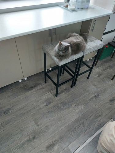 Барный стул Лофт микровелюр катания блэк / черный матовый фото покупателя 27