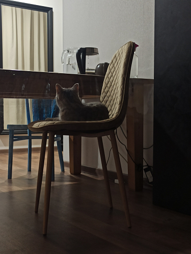 Стул на металлокаркасе Capri dark beige / white фото покупателя 24