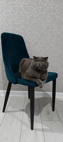 Стул на металлокаркасе Kora gray / black фото покупателя 41