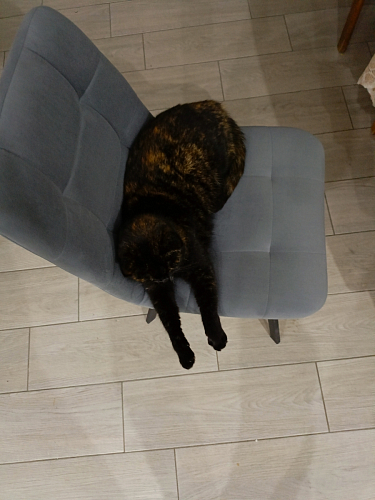 Стул на металлокаркасе Чилли К кирпичный / черный фото покупателя 528