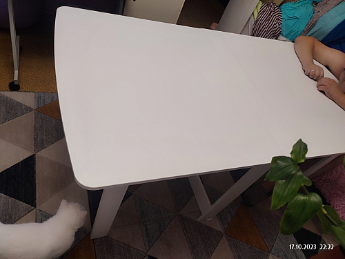 Стол-книжка СтК4 ясень шимо фото покупателя 47