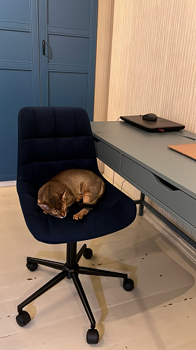 Компьютерное кресло Честер синий (velutto 46 ) / белый фото покупателя 14