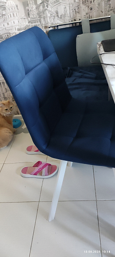 Стул на металлокаркасе Чилли горчичный / черный фото покупателя 99