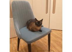 Стул на металлокаркасе Kora gray / black фото покупателя 165