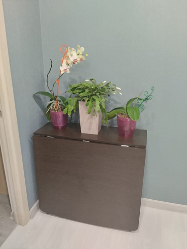 Стол-книжка СтК7 белый фото покупателя 12