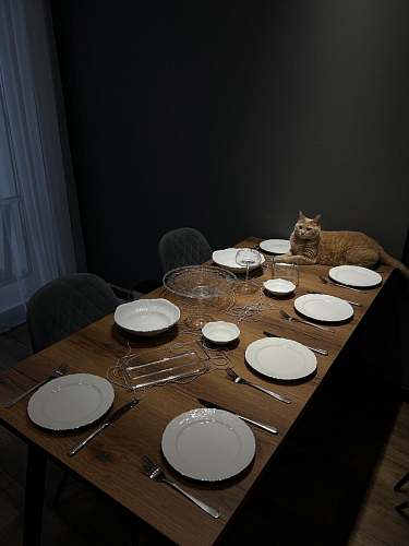 Стол Тринити Лофт 120 32 мм дуб галифакс табако / черный матовый фото покупателя 247