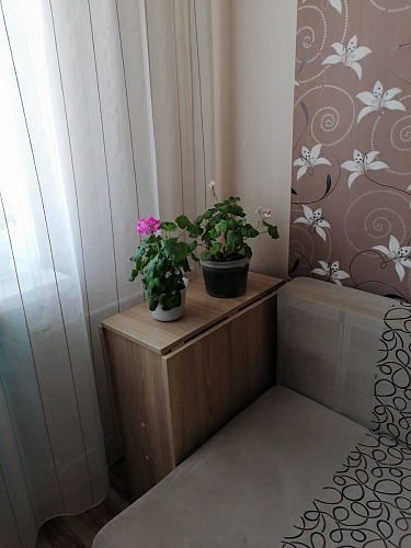 Стол-книжка Мечта дуб сонома  - Уцененный экземпляр фото покупателя 232