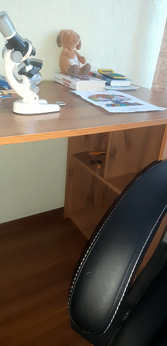 Письменный стол Фред Лофт черный матовый / дуб делано темный фото покупателя 2