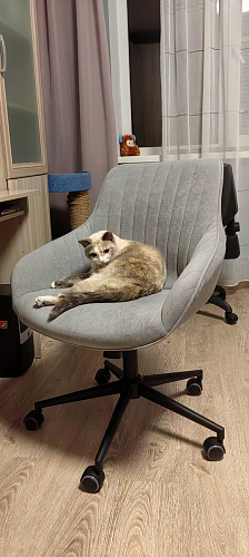 Компьютерное кресло Dublin/Дублин хром / вельвет графит фото покупателя 19