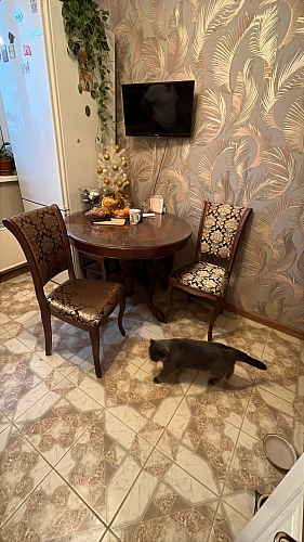 Деревянный стул Фабиано орех / шоколад комби фото покупателя 1