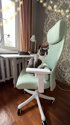 Компьютерное кресло Salta gray / white фото покупателя 27