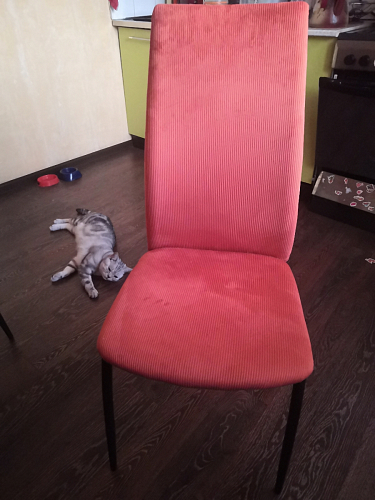 Стул на металлокаркасе Tod light purple / light blue / black фото покупателя 69