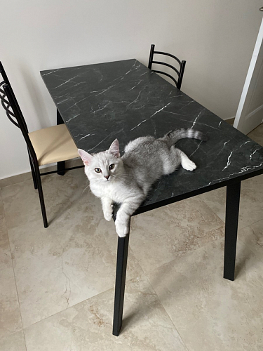 Стол Тринити Лофт 120 32 мм бетон / черный матовый фото покупателя 343