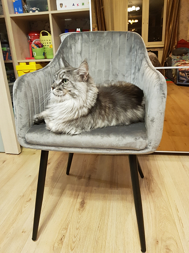 Стул на металлокаркасе Slam тёмно-серый фото покупателя 51