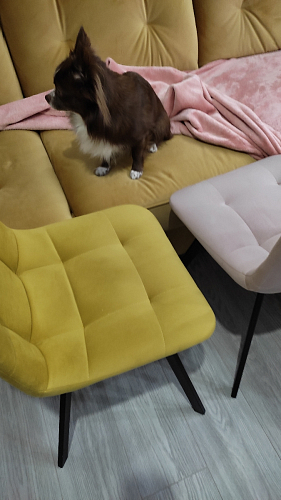 Стул на металлокаркасе Чилли черный / зеленый фото покупателя 883