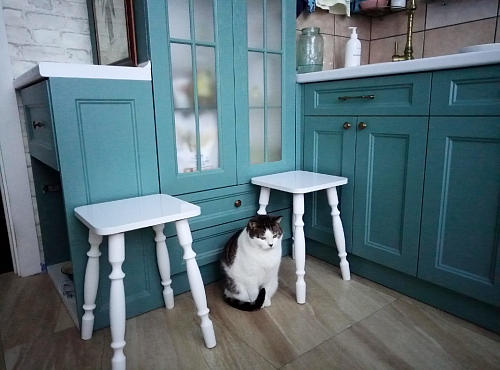 Табурет Грай ольха фото покупателя 6