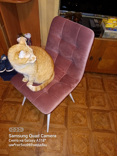 Стул Chilli-Q бежевый 5 / белый фото покупателя 3