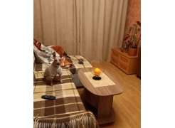 Журнальный столик Лидер дуб сонома фото покупателя 1