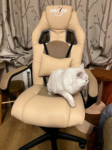 Компьютерное кресло Driver/Драйвер кожзам черный / ткань черный фото покупателя 51