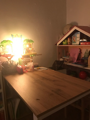 Письменный стол Битти Лофт 116х60х75 дуб делано светлый / белый матовый фото покупателя 71