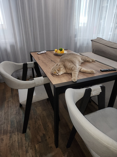 Стол Центавр 120(160)х70х75 файерстоун / черный матовый фото покупателя 43