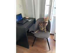 Стул на металлокаркасе Gabi 1 gray фото покупателя 27