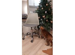 Компьютерное кресло Kolin с подушкой clear / white фото покупателя 447