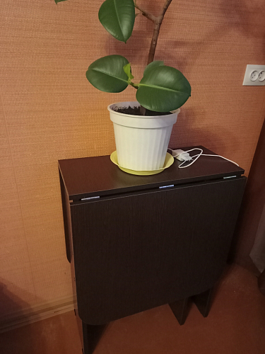 Стол-книжка Мечта венге  - Уцененный экземпляр фото покупателя 211