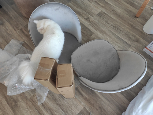 Стул на металлокаркасе Dodo khaki фото покупателя 43