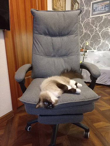 Компьютерное кресло Rapid серое фото покупателя 2