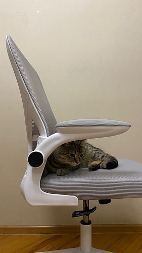 Компьютерное кресло Konfi pink / white фото покупателя 235