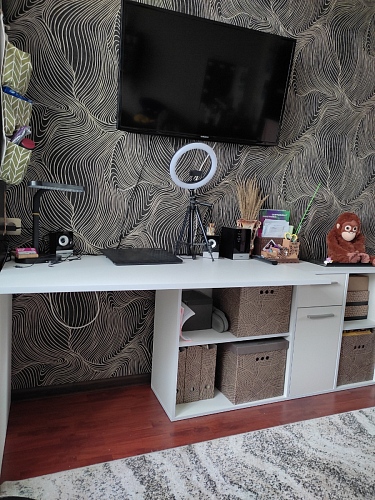 Письменный стол Лайт 03.245F белый гладкий 101 фото покупателя 136