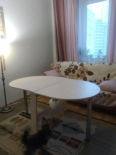 Стол-книжка СтК12 белый фото покупателя 18