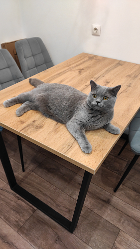 Деревянный стол Лота Лофт 140х80 черный матовый / бетон светлый фото покупателя 1024