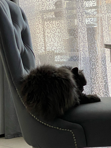 Деревянный стул Милано 1 бежевый / белый фото покупателя 48