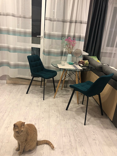 Стул на металлокаркасе Челси К бирюзовый / черный фото покупателя 175